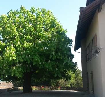 Découvrez notre domaine 